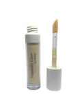 Concealer C13