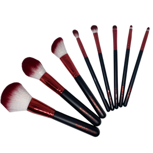 Aleirad Luxury Brush Set & Case